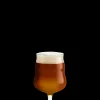 Sale Mikkeller Universalt Ølglas 40 cl klar 2 stk. Ølglas