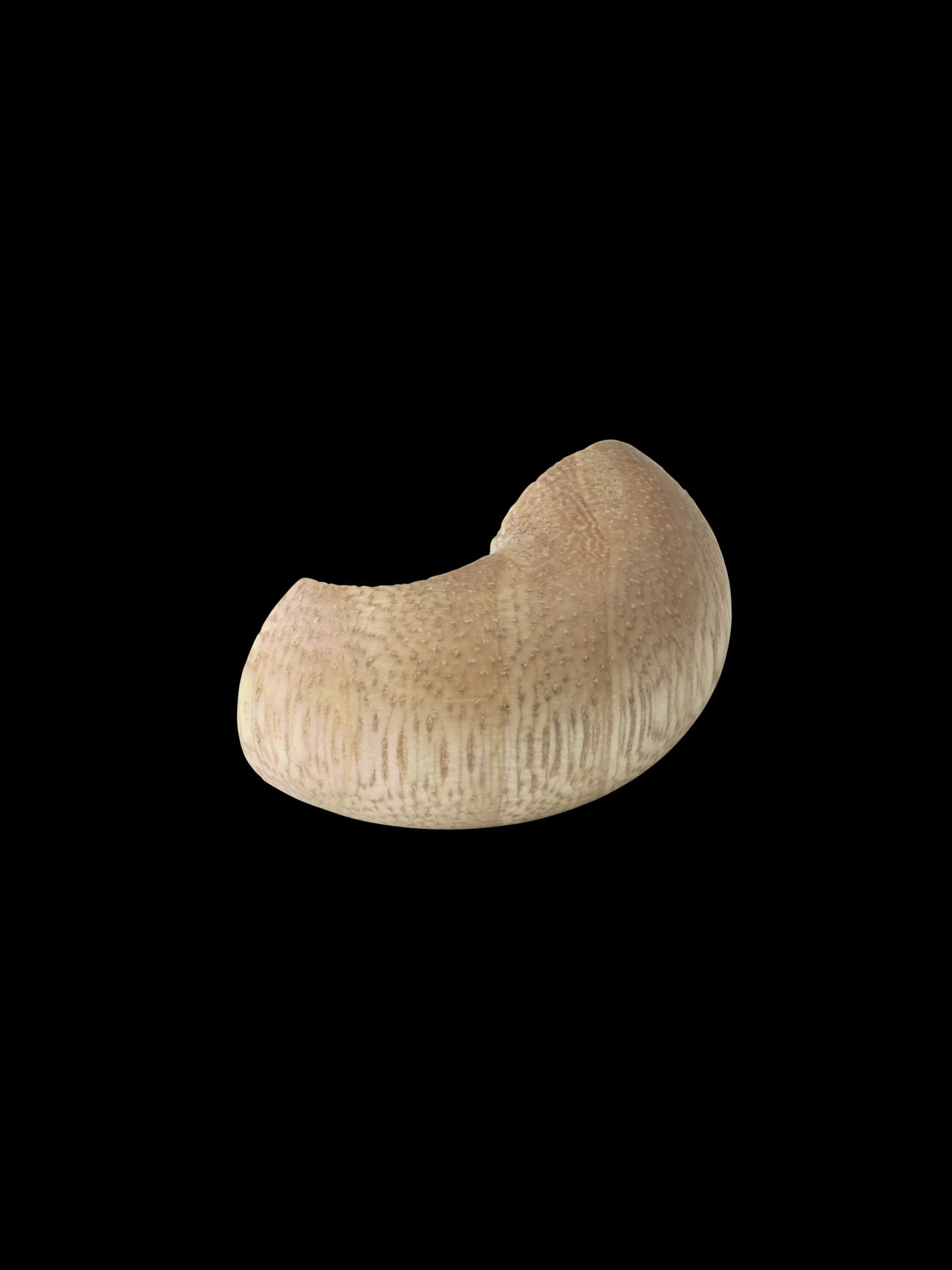 Discount Abe lille pote uden logo teak/limba | Køb her Reservedele Og Tilbehør