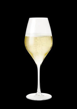 Discount Premium Champagneglas 37 cl klar 2 stk. | Køb her Champagneglas|Nytår