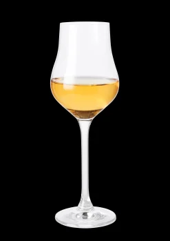 Hot Premium Spiritusglas 23 cl klar 2 stk. | Køb her Drinksglas|Drinksglas